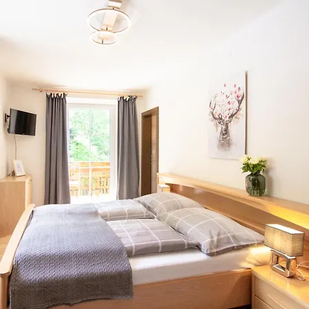 Appartementhaus Hoamart Apartment Lessach